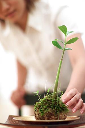 カリモクアウトレットの情報を探すなら