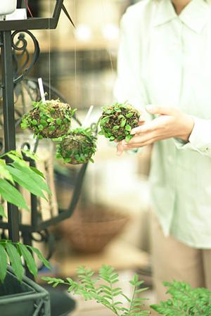 北海道札幌ショールーム｜タカラスタンダードの魅力と店舗情報徹底ガイド