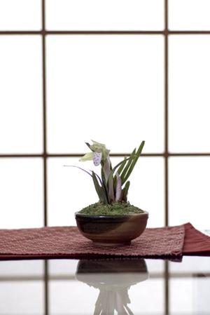 【新宿ショールーム完全ガイド】タカラスタンダードの最新展示と予約方法｜利便性と特色を徹底解説