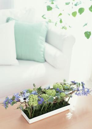 玄関ドアの取替がリーズナブルにできる