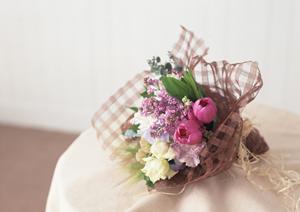 場所や環境で選べる観葉植物のレンタル